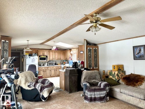 The living area features a ceiling fan, a skylight, and a partial view of the kitchen - 50124 Range Road 203, Rural Beaver County, AB - Indoor