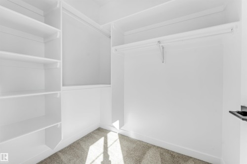 Walk-in closet featuring white built-in shelving, a hanging rod, and carpeted flooring - 10962 157 Street, Edmonton, AB - Indoor With Storage