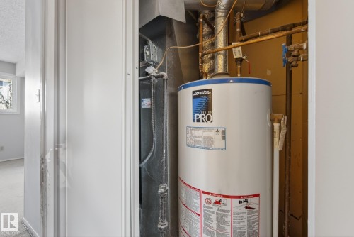 33 6220 172 Street, Edmonton, AB - Indoor Photo Showing Basement