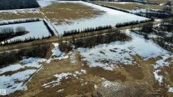 Lot 2 Hwy 761 Rural Brazeau County, AB T7A 1R9