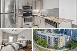 212 10611 117 Street  Edmonton, AB T5H 0G6