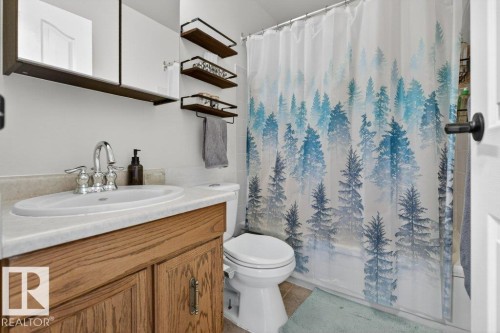 17525 92 Street, Edmonton, AB - Indoor Photo Showing Bathroom
