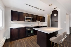 32 10015 83 Avenue  Edmonton, AB T6E 2C3