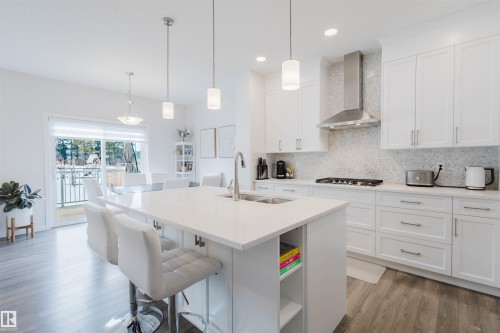 3408 Checknita Terrace, Edmonton, AB - Indoor Photo Showing Kitchen With Double Sink With Upgraded Kitchen