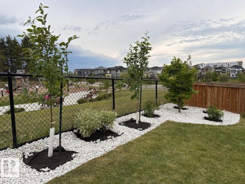 3408 Checknita Terrace, Edmonton, AB - Outdoor