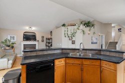 The kitchen features a double basin sink, ample cabinet storage, and a dishwasher, with a view into the living area showcasing a fireplace - 