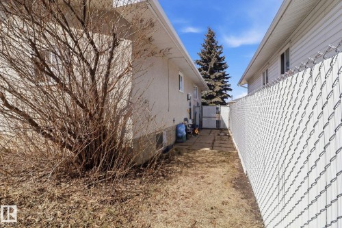 The property features a private side yard with a paved walkway, surrounded by a chain-link fence with privacy slats - 4129 134A Avenue Nw, Edmonton, AB - Outdoor