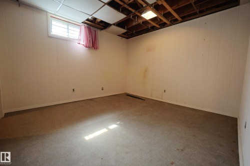 15725 95 Avenue, Edmonton, AB - Indoor Photo Showing Basement