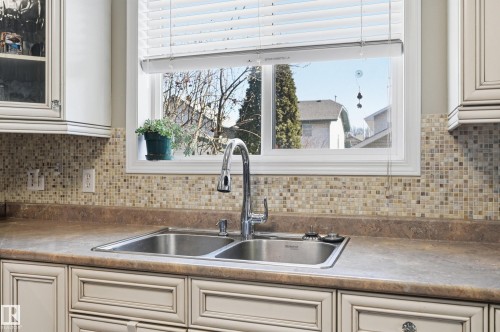 109 1670 Jamha Road Nw, Edmonton, AB - Indoor Photo Showing Kitchen With Double Sink