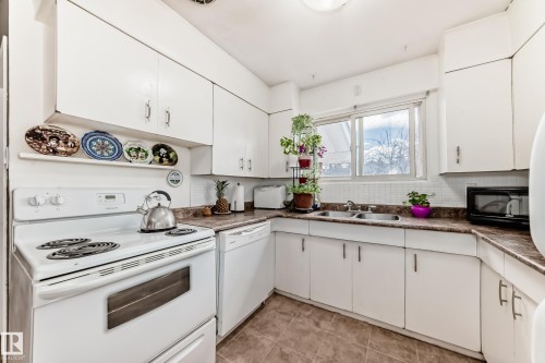 10837 65 Avenue, Edmonton, AB - Indoor Photo Showing Kitchen With Double Sink