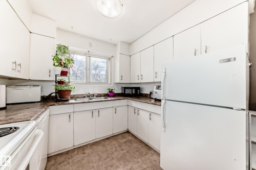 10837 65 Avenue, Edmonton, AB - Indoor Photo Showing Kitchen With Double Sink