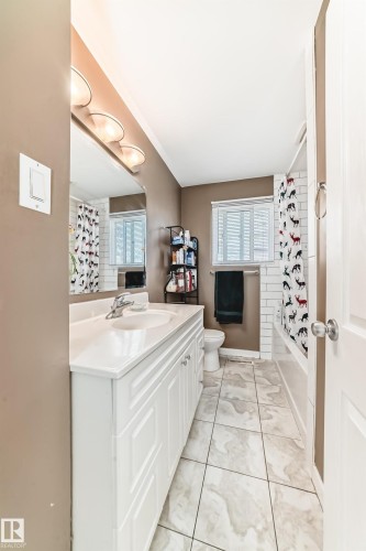10837 65 Avenue, Edmonton, AB - Indoor Photo Showing Bathroom