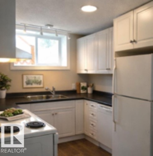 10837 65 Avenue, Edmonton, AB - Indoor Photo Showing Kitchen