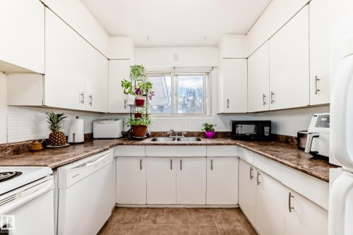 10837 65 Avenue, Edmonton, AB - Indoor Photo Showing Kitchen With Double Sink