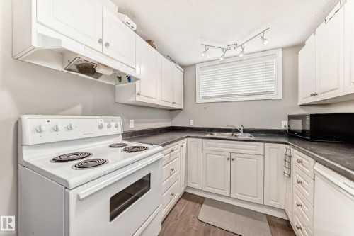 10837 65 Avenue, Edmonton, AB - Indoor Photo Showing Kitchen With Double Sink