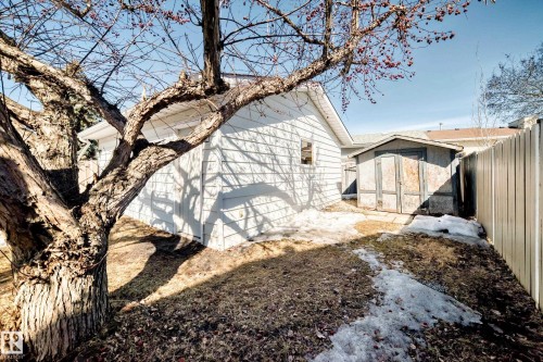The property features a fenced yard, a storage shed, and a detached structure with white siding - 287 Lago Lindo Crescent, Edmonton, AB - Outdoor