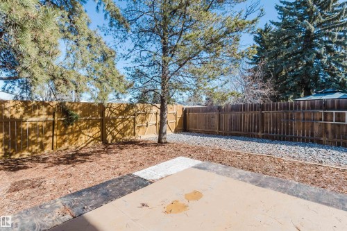 The property features a fenced yard with a concrete patio area, a mature tree, and a section covered with wood chips - 17308 61 Avenue, Edmonton, AB - Outdoor