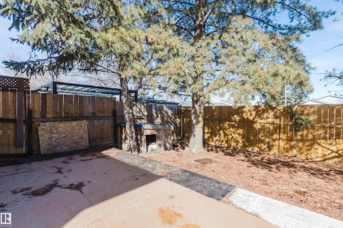 The property features a fenced yard with mature trees and a concrete patio area - 17308 61 Avenue, Edmonton, AB - Outdoor