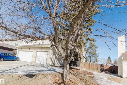 The property features an attached garage with two white garage doors, a paved driveway, and established trees in the yard - 17308 61 Avenue, Edmonton, AB - Outdoor