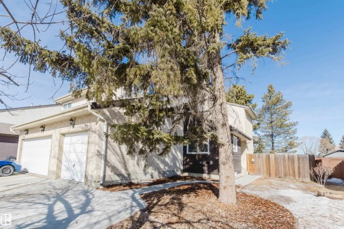 The property features an attached double garage with white doors, a paved driveway, and a mature tree in the front yard - 17308 61 Avenue, Edmonton, AB - Outdoor