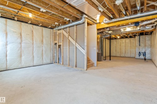 5005 Cawsey Link Sw, Edmonton, AB - Indoor Photo Showing Basement