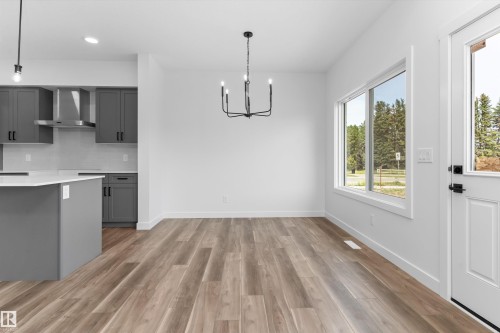 5005 Cawsey Link Sw, Edmonton, AB - Indoor Photo Showing Kitchen