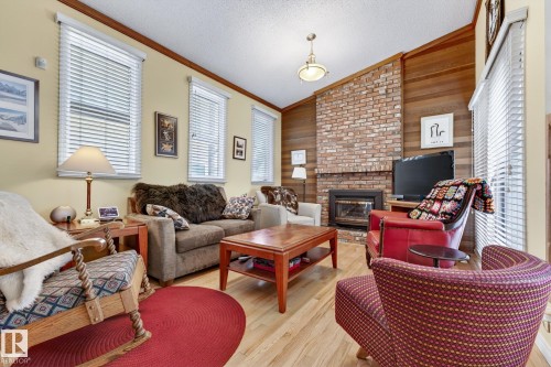 11715 28 Avenue, Edmonton, AB - Indoor Photo Showing Living Room With Fireplace
