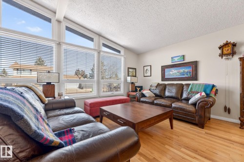 11715 28 Avenue, Edmonton, AB - Indoor Photo Showing Living Room