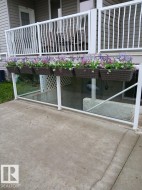 Ground-level patio with concrete surfacing and a glass-paneled barrier - 