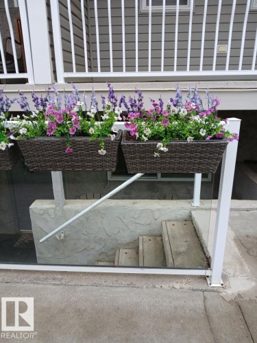 Exterior siding with white baluster railing and planter boxes featuring colorful flowering plants - 5 4902B 43 Street, Legal, AB 