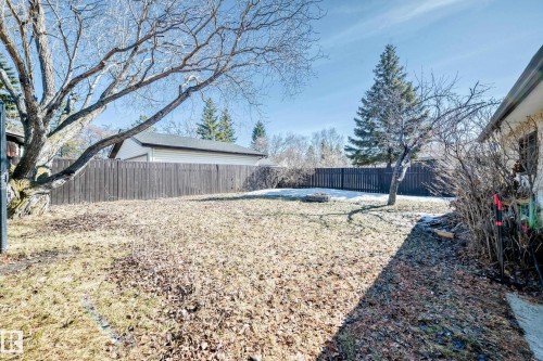 The property features a spacious backyard with a dark wooden fence and mature trees - 11323 162 Avenue, Edmonton, AB - Outdoor