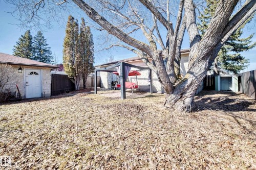 The property features a spacious yard with a large tree, a detached garage, and a garden shed - 11323 162 Avenue, Edmonton, AB - Outdoor