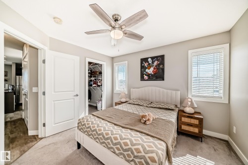 This room features a ceiling fan with light, windows with blinds, and carpeted floors - 11 1530 Tamarack Boulevard, Edmonton, AB - Indoor Photo Showing Bedroom