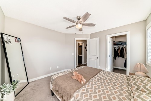 The bedroom features carpeted flooring, a ceiling fan with light fixture, and a window with blinds - 11 1530 Tamarack Boulevard, Edmonton, AB - Indoor Photo Showing Bedroom
