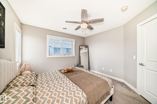 This room features a ceiling fan, a window with blinds, and light grey walls - 11 1530 Tamarack Boulevard, Edmonton, AB - Indoor Photo Showing Bedroom