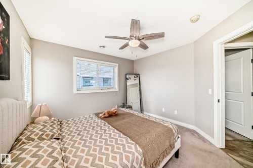 This property offers a comfortable living space with carpeted flooring and windows featuring blinds - 11 1530 Tamarack Boulevard, Edmonton, AB - Indoor Photo Showing Bedroom