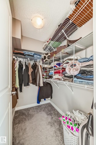 The property features a walk-in closet with carpeted flooring, white wire shelving, and a flush-mount ceiling light fixture - 11 1530 Tamarack Boulevard, Edmonton, AB - Indoor With Storage