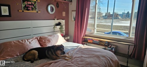11702 79 Street Nw, Edmonton, AB - Indoor Photo Showing Bedroom