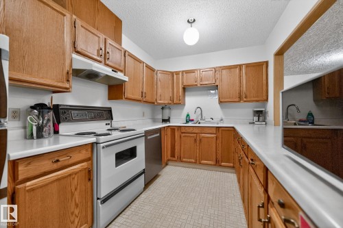 Basement Kitchen in Clubhouse - 30 903 109 Street, Edmonton, AB - Indoor Photo Showing Kitchen