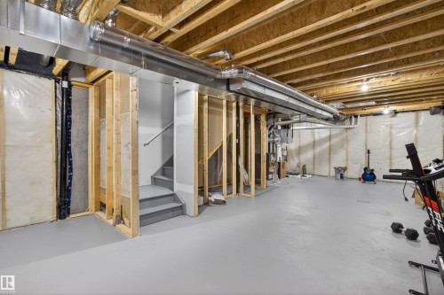 2422 Trumpeter Way, Edmonton, AB - Indoor Photo Showing Basement