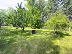 Expansive lawn area featuring established trees, shrubbery, and a chain-link perimeter fence - 
