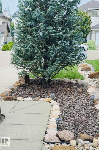 The property features a well-maintained front yard with a mature tree, decorative rock landscaping, and a concrete pathway - 1007 Goodwin Crest, Edmonton, AB - Outdoor