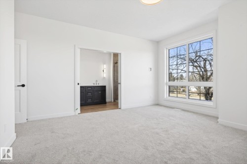 This room features plush grey carpeting, white walls, and a large window providing ample natural light and views of mature trees - 9705 68 Avenue, Edmonton, AB - Indoor Photo Showing Other Room