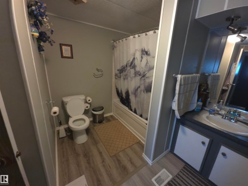 4502 48 Avenue, Thorsby, AB - Indoor Photo Showing Bathroom