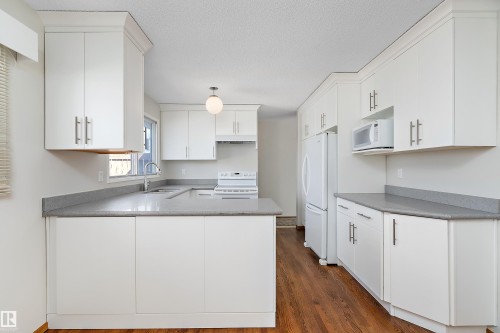 6736 31A Avenue, Edmonton, AB - Indoor Photo Showing Kitchen With Double Sink