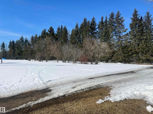 The property features a partially snow-covered driveway leading to an expansive snow-covered area, bordered by a line of mature evergreen trees and deciduous trees - 55131 Range Road 83, Rural Yellowhead, AB - Outdoor
