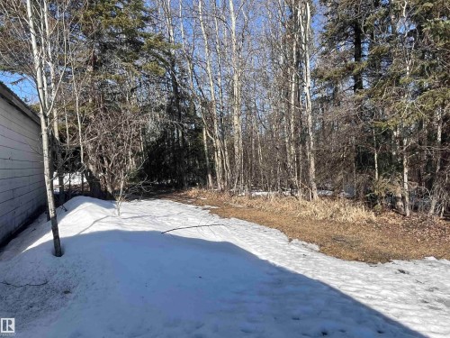 The property features an extensive outdoor area with mature trees and a wooded backdrop - 55131 Range Road 83, Rural Yellowhead, AB - Outdoor