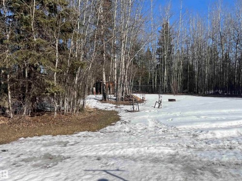 The property features an expansive, partially snow-covered yard with a treed perimeter - 55131 Range Road 83, Rural Yellowhead, AB - Outdoor With View