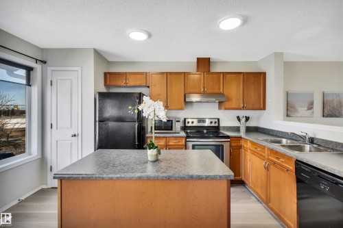 51 3075 Trelle Crescent, Edmonton, AB - Indoor Photo Showing Kitchen With Double Sink