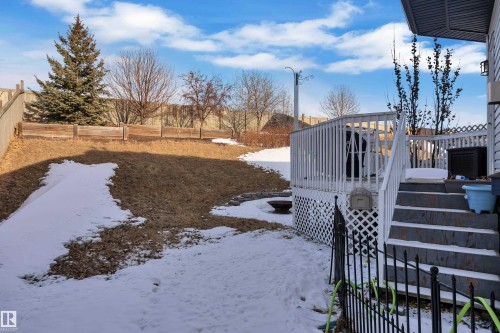 The property features a white wooden deck with steps and lattice detailing, overlooking a terraced yard with a wooden fence and an evergreen tree - 3609 11 Street, Edmonton, AB - Outdoor